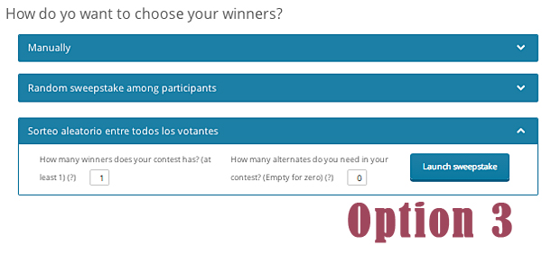 Random draw among all of the voters