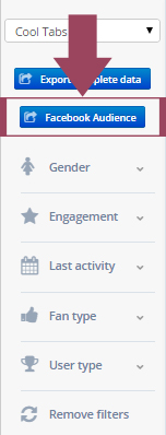 Access to Facebook Audience