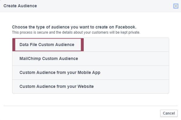 Data File Custom Audience