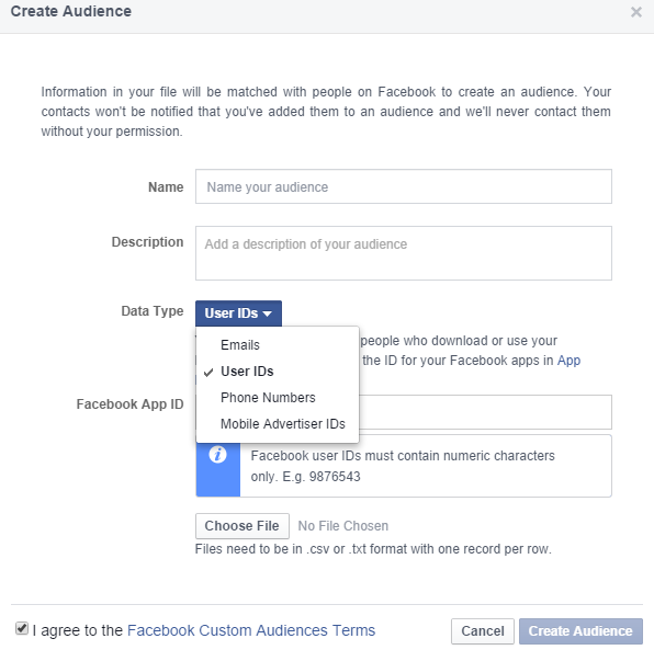 Fill out the information about your Custom Audience