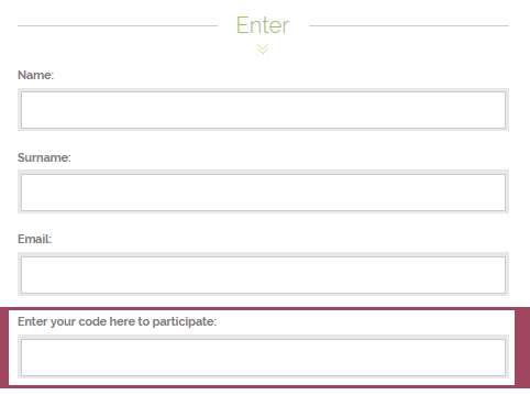 Entry form: Validate your custom code