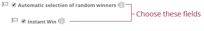 • Automatic random selection of winners + Instant Win