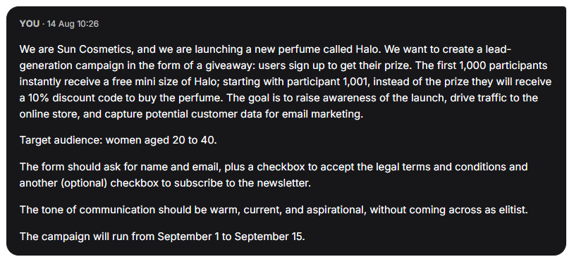 Example prompt to set up a campaign with AI in interactive marketing